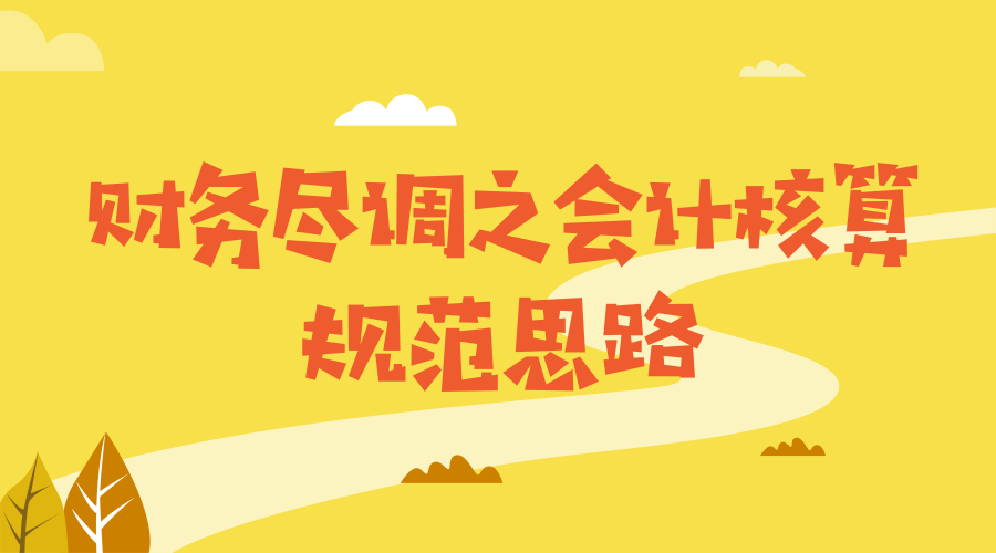 财务尽调之会计核算规范思路