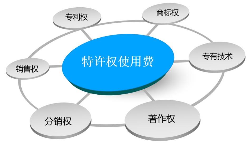 特许权使用费条款适用的案例分析