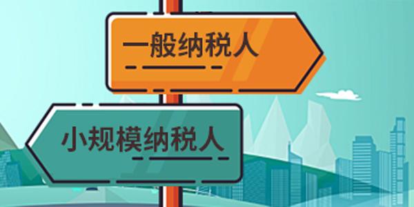 小规模纳税人关心哪些增值税实操问题？